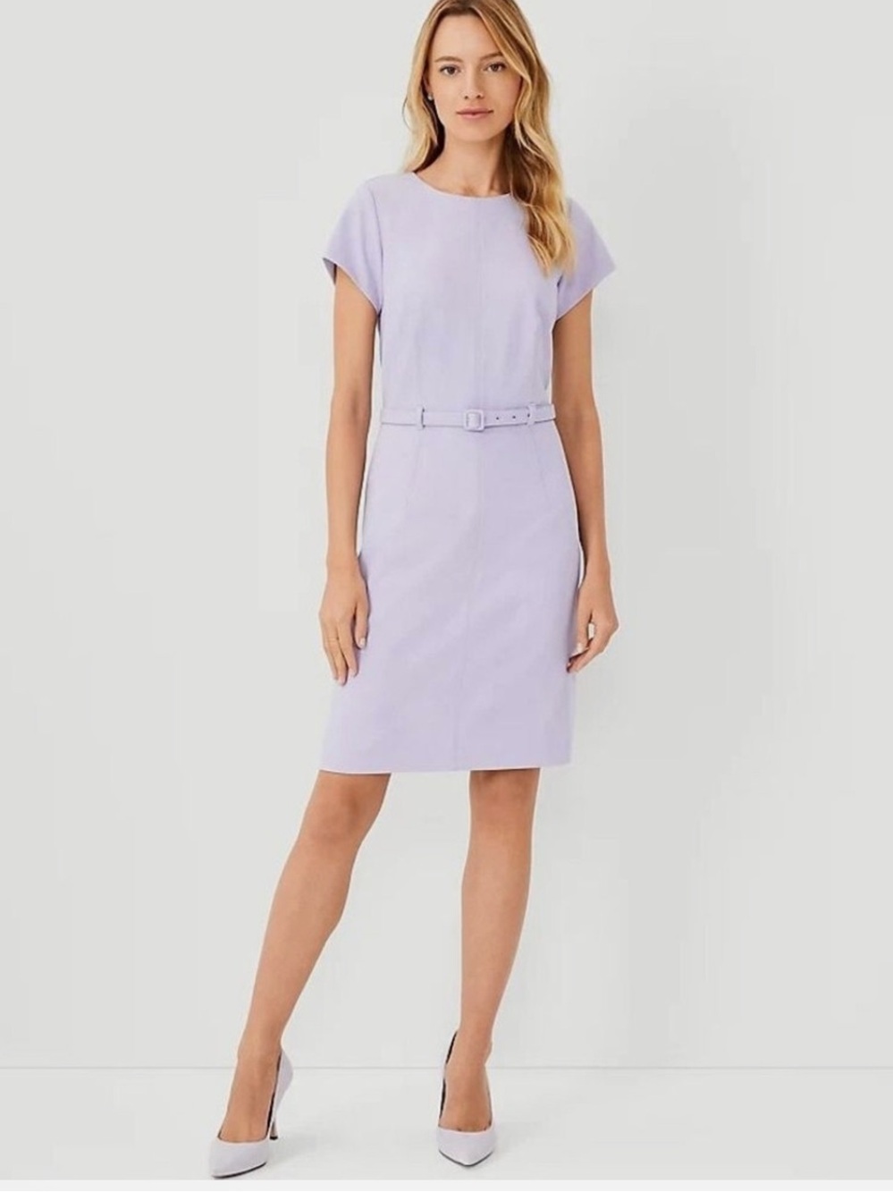 NEW Ann Taylor Lilac lavender Belted Sheath Dress size 8 back zip clousure